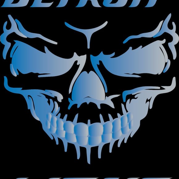 Detroit Lions - Picture 4 of 4
